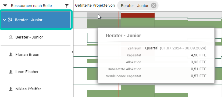 PfD_Ressourcenbereich_aggregierte-Rolle.png