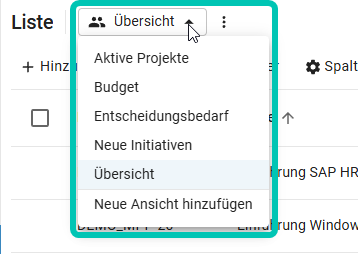 Benutzerdefinierte Ansichten5.png