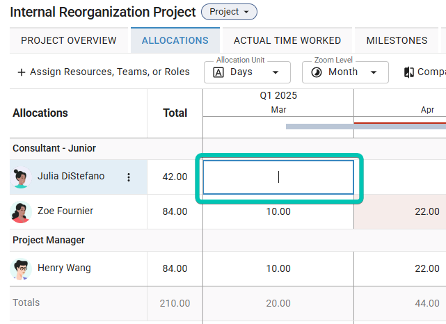 Project-Details_Allocations-Tab_Adding-Alloc-Values.png