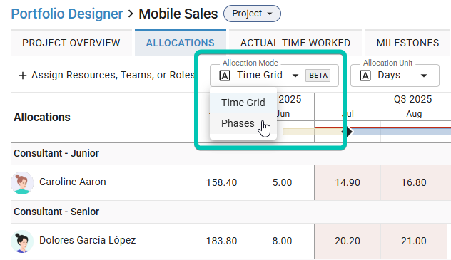 Project-Details_Allocation-Mode_dropdown.png
