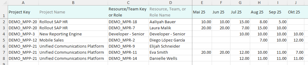 Sample-Excel_allocation-matrix.png