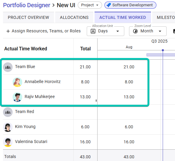 Project-Details_Actuals-Team.png