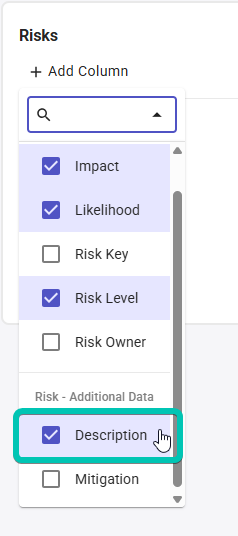 Configure_Project-Details_Risks_add-field.png
