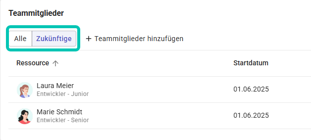 Ressourcen-Pool_Teamhistorie.png