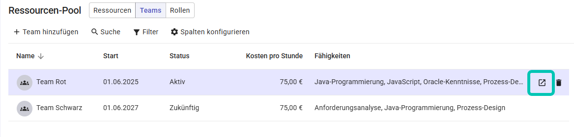 Ressourcen-Pool_Team_bearbeiten.png