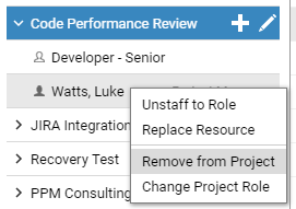 Remove from Project