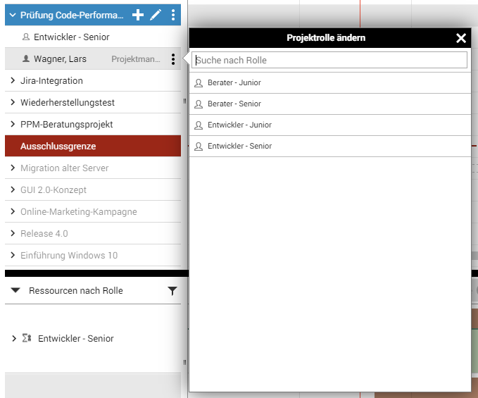 Projektrolle__ndern_Dialog1.1.png