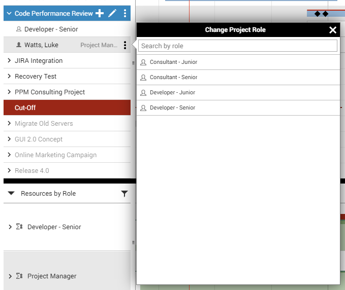 Meisterplan-Portfolio-Designer-Selecting-the-New-Project-Role1.1.png